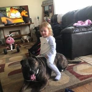 Meet your Posher, Jamie